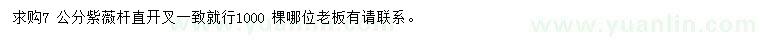 求購7公分紫薇
