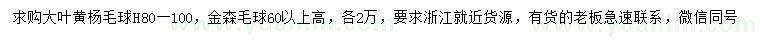 求購高80-100公分大葉黃楊球、高60公分以上金森女貞球