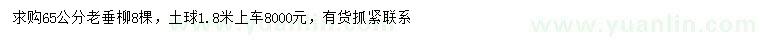 求購65公分老垂柳