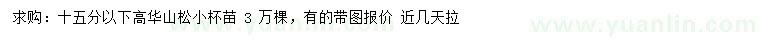 求購(gòu)高15公分以下華山松小苗 