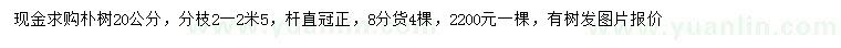 求購(gòu)20公分樸樹(shù)