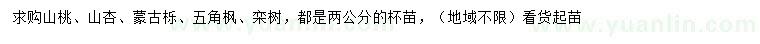 求購山桃、山杏、蒙古櫟等