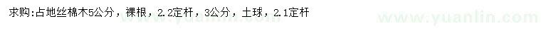 求購3、5公分絲棉木