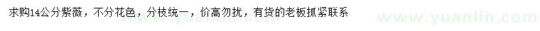 求購14公分紫薇