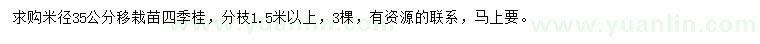 求購米徑35公分四季桂