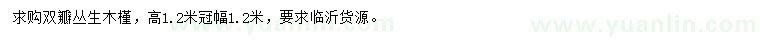 求購冠幅1.2米叢生木槿