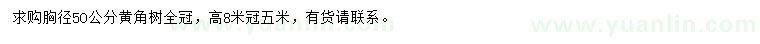 求購胸徑50公分黃角樹