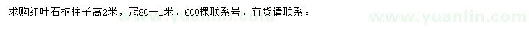 求購(gòu)冠幅0.8-1米紅葉石楠柱