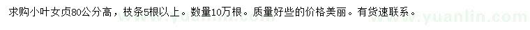 求購高80公分小葉女貞