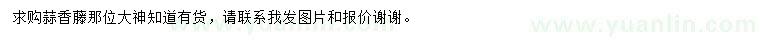 求購蒜香藤
