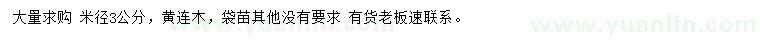 求購米徑3公分黃連木