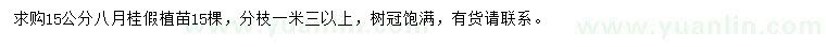 求購15公分八月桂