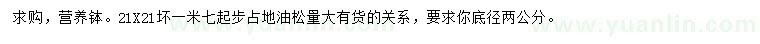 求購(gòu)1.7米以上油松