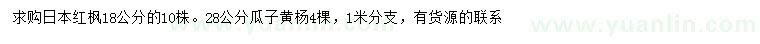 求購18公分日本紅楓、28公分瓜子黃楊