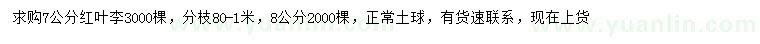 求購7、8公分紅葉李
