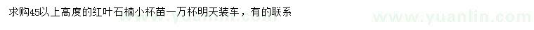 求購高45公分以上紅葉石楠小苗