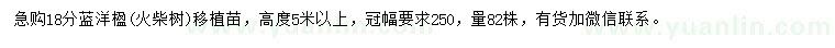 求購(gòu)18公分藍(lán)洋楹、火柴樹(shù)