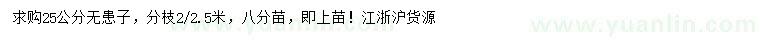 求購25公分無患子