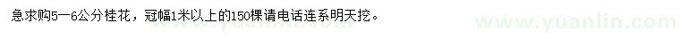 求購(gòu)5-6公分桂花