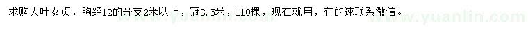 求購(gòu)胸經(jīng)12公分大葉女貞
