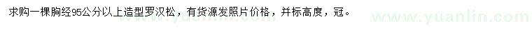求購胸徑95公分以上造型羅漢松