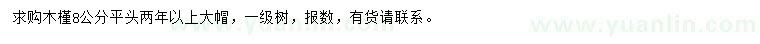 求購8公分木槿