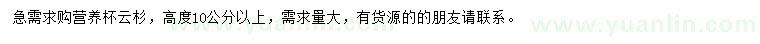 求購高10公分以上