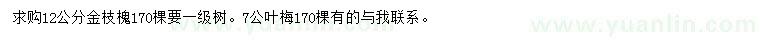 求購12公分金枝槐、7公分葉梅