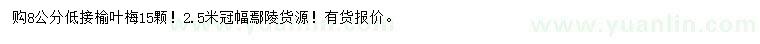 求購(gòu)8公分榆葉梅