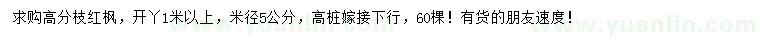 求購米徑5公分紅楓