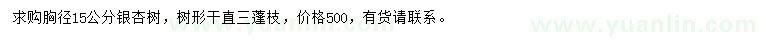 求購胸徑15公分銀杏