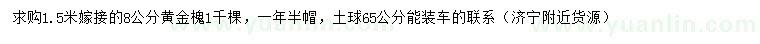 求購8公分黃金槐