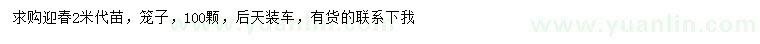 求購(gòu)2米迎春