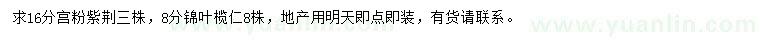 求購16公分宮粉紫荊