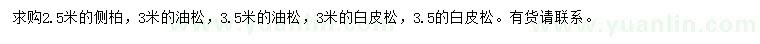 求購側(cè)柏、油松、白皮松