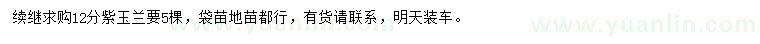 求購12公分紫玉蘭