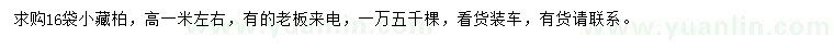 求購高1米藏柏