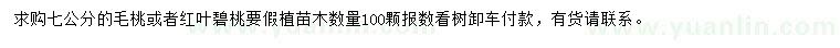 求購7公分毛桃、紅葉碧桃