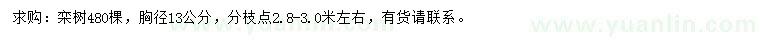 求購胸徑13公分欒樹