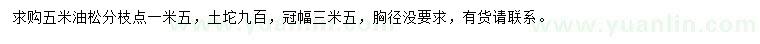 求購(gòu)5米油松