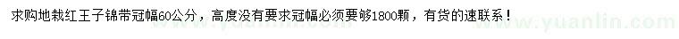 求購(gòu)冠幅60公分紅王子錦帶