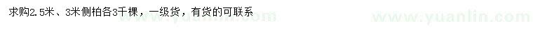 求購2.5、3米側(cè)柏