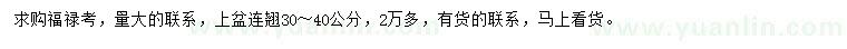 求購(gòu)福祿考、30-40公分連翹