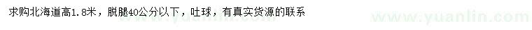 求購(gòu)高1.8米北海道黃楊