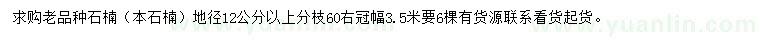 求購(gòu)地徑12公分以上石楠