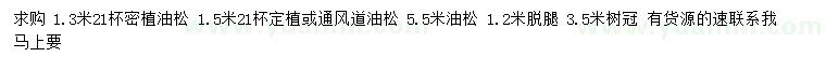 求購1.3、1.5、5.5米油松