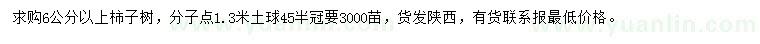 求購6公分以上柿子樹