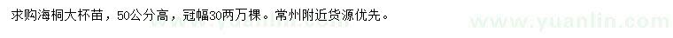 求購(gòu)高50公分海桐