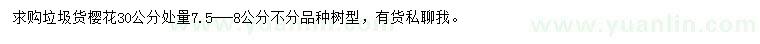 求購30公分量7.5-8公分櫻花