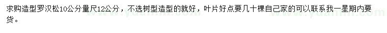 求購10公分量12公分羅漢松